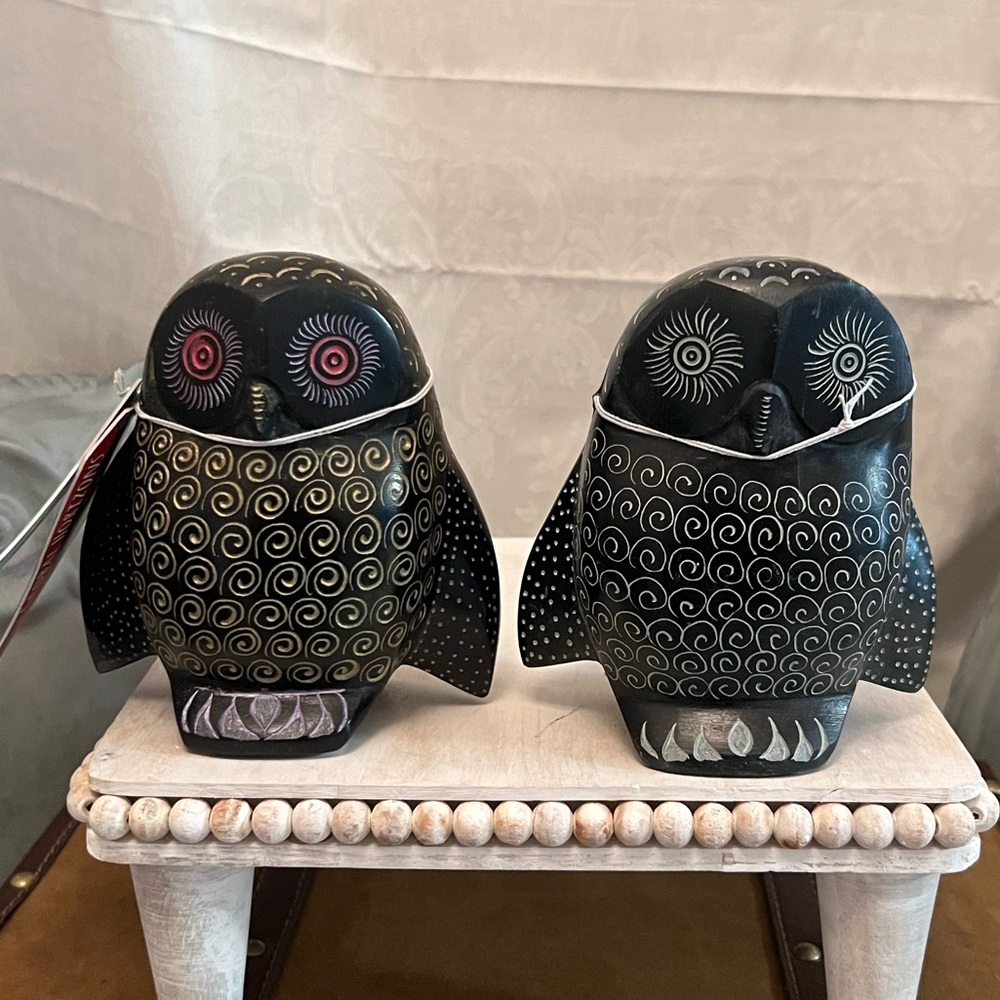 ⚡️Global Horizons Owl Decor
